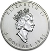 Stříbrná mince 1 Oz Maple Leaf 1995
