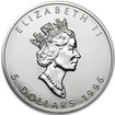 Stříbrná mince 1 Oz Maple Leaf 1996