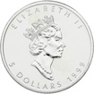 Stříbrná mince 1 Oz Maple Leaf 1999