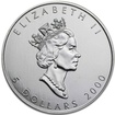 Stříbrná mince 1 Oz Maple Leaf 2000
