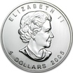 Stříbrná mince 1 Oz Maple Leaf 2005