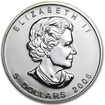 Stříbrná mince 1 Oz Maple Leaf 2006