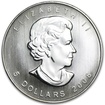 Stříbrná mince 1 Oz Maple Leaf 2008