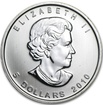 Stříbrná mince 1 Oz Maple Leaf 2010
