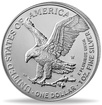 Stříbrná mince 1 Oz American Eagle 2022