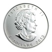Stříbrná mince 1 Oz Maple Leaf 2013