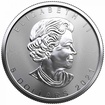 Stříbrná mince 1 Oz Maple Leaf 2021