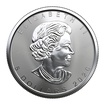 Stříbrná mince 1 Oz Maple Leaf 2020
