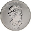 Stříbrná mince 1 Oz Maple Leaf 2011