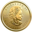 Zlat� mince 1/10 Oz Maple Leaf 2023
