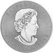 Stříbrná mince 1 Oz Maple Leaf 2019