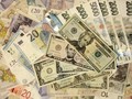 Koruna, dolar, euro, zlotý