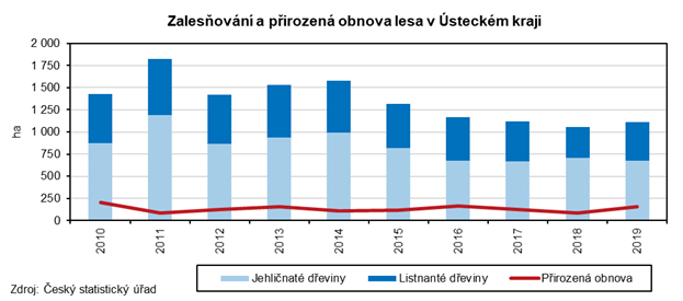 Zalesovn a pirozen obnova lesa v kraji