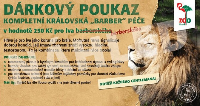 Zoo poukaz (ilustran obrzek)