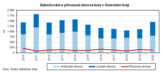 Zaleovn a pirozen obnova lesa v steckm kraji