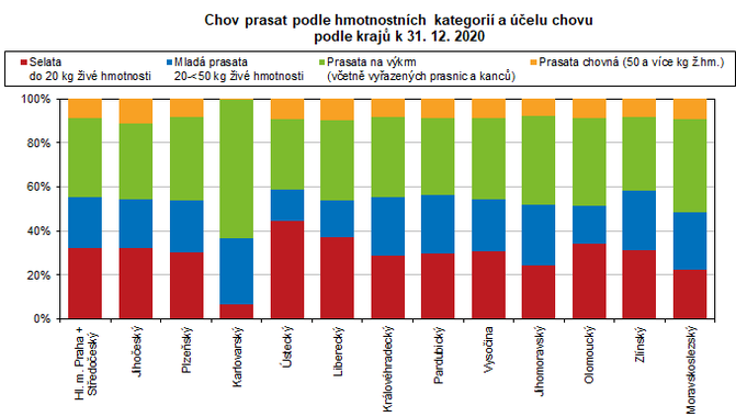 Chov prasat podle hmotnostnch kategori a elu podle kraj k 31. 12. 2020