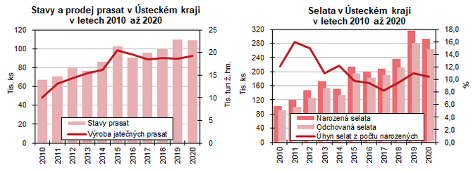 Stavy a prodej prasat v steckm kraji v letech 2010 - 2020     Selata v steckm kraji v letech 2010 a 2020