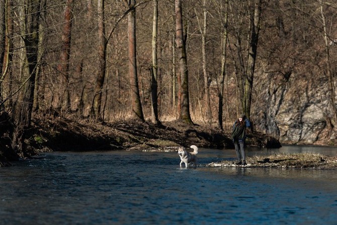 Prochzka se psem (zdroj foto: tvar koncepce a rozvoje msta Plzn)