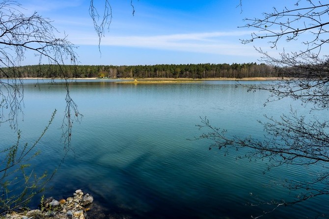 Velk boleveck rybnk (fotografie: M. Pecuch)