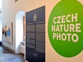 Ilustrační foto.