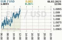 Online graf kurzu usd/eur