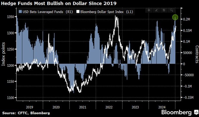 dolar forex