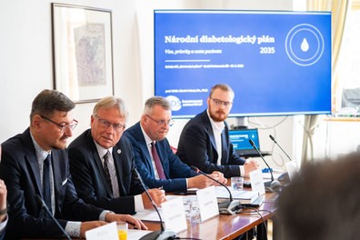 Kulatý stůl: Národní diabetologický plán 2035