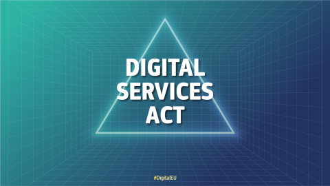 text Digital Services Act inside a white triangle against a green background