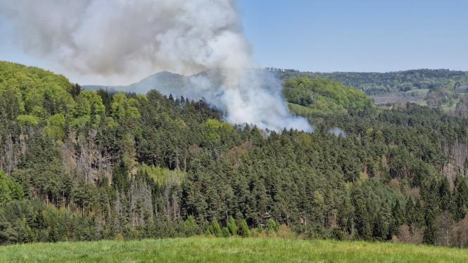 Po��r lesa v NP �esk� �v�carsko pobl� Jet�ichovic. Zdroj: Spr�va NP �esk� �v�carsko