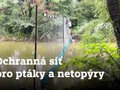 Ilustrační foto.