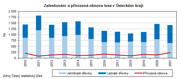 Zalesovn a pirozen obnova lesa v steckm kraji