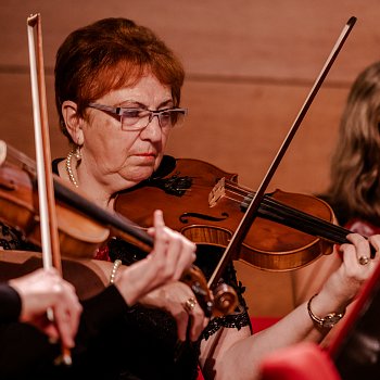 
                                Veer hudebn doprovodil Komorn orchestr msta Blanska. FOTO: Michaela Buchtov
                                    