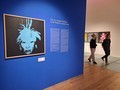 Z v�stavy