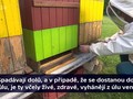 Ilustrační foto.