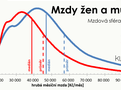 Mzdy mu�i a �eny v roce 2025, pr�m�rn� a medi�nov� mzda