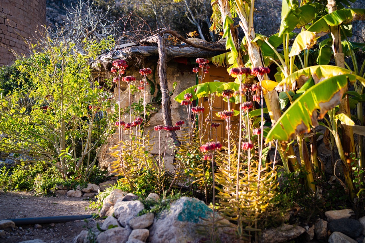 kvetoucí zahrada u kamenného domku Cabo de Gata