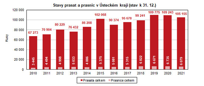 Stavy prasat a prasnic v steckm kraji (stav k 31. 12.)