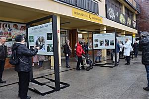 Mikeš se vrací na Sofijské náměstí