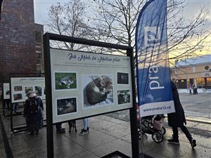 Mikeš se vrací na Sofijské náměstí