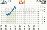 Online graf kurzu usd/eur