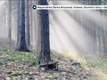 Ilustrační foto.