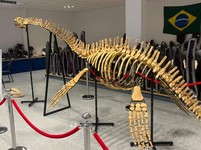 Ilustra�n� foto.