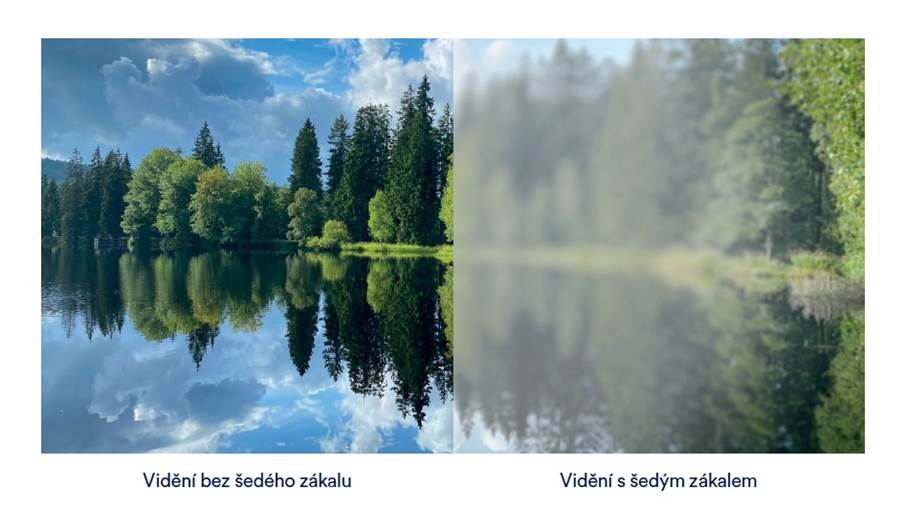 Obrázek 2