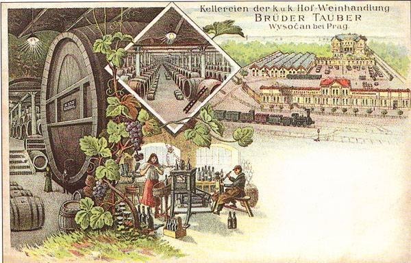 ilustrační Od vinařství k univerzitě