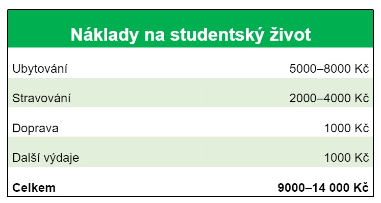 vysoka-skola