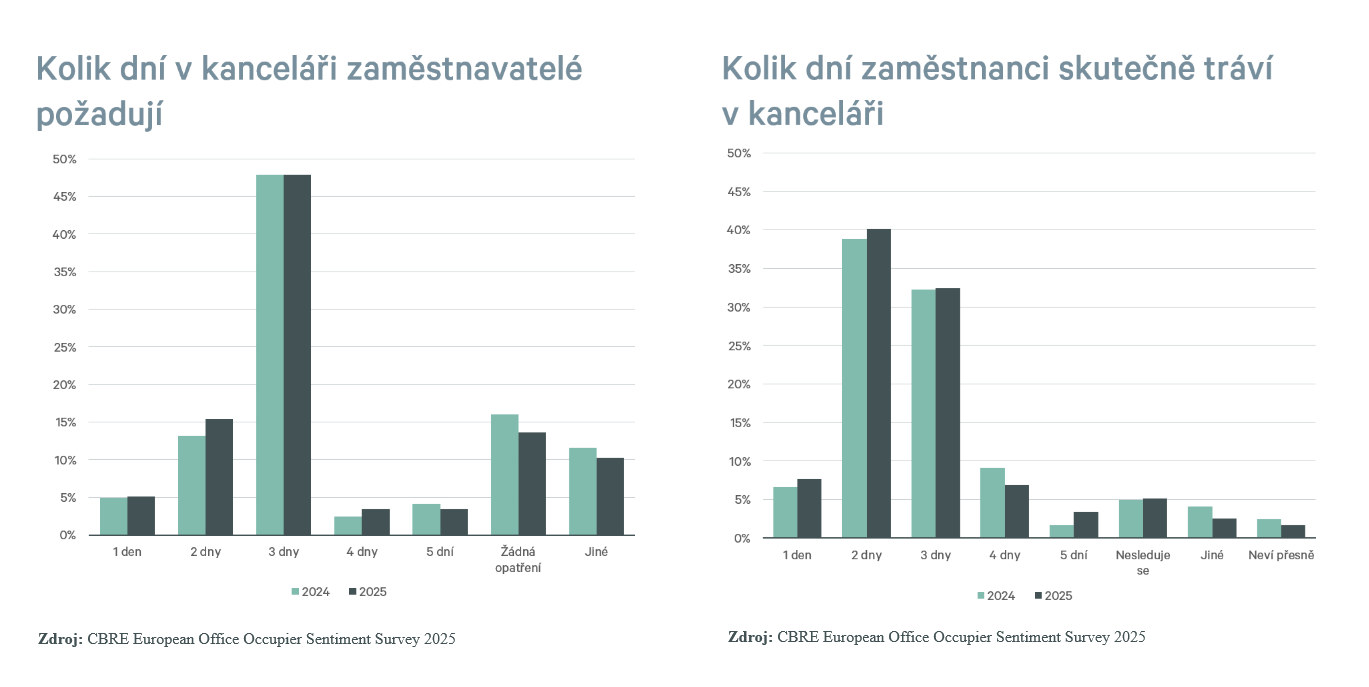 kanceláře průzkum infografika