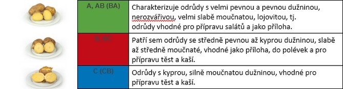 Brambory neobsahují lepek, jsou i pro celiaky