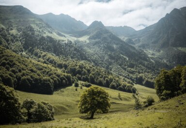 Cestou si fotografov uvali krsy krajiny a starch mst.