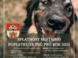 Ilustrační foto.