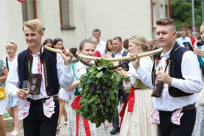 TOP Vnem Slovcka se letos stalo Rulandsk ed z Vinastv Rochz Uhersk Hradit